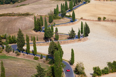 Avis UK