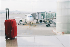 Avis UK