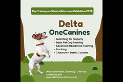Delta One Canines Coventry