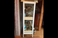 Fur Inn Cattery & Small Animal Hotel Coventry - 6