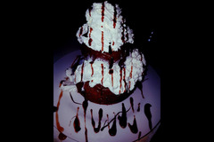 Cerbul Romanesc Wembley - 8