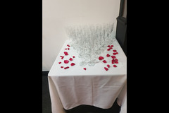 Cerbul Romanesc Wembley - 16