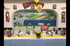 Cerbul Romanesc Wembley - 17