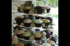 Cake Aways Oxford - 27