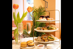 Cutter and Squidge London