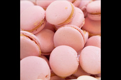 Cutter and Squidge London - 21