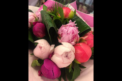 Hubbards Florist Coventry - 13