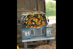 David Wayman Flowers Manchester - 16