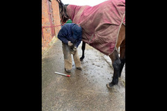 Moor Farm Stables Coventry