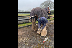 Moor Farm Stables Coventry