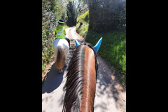 Moor Farm Stables Coventry - 6