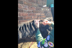 Moor Farm Stables Coventry - 8