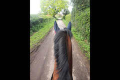 Moor Farm Stables Coventry - 10