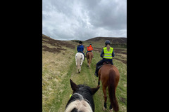 Scottish Equestrian Hotel