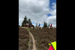 Scottish Equestrian Hotel