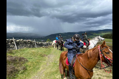 Scottish Equestrian Hotel