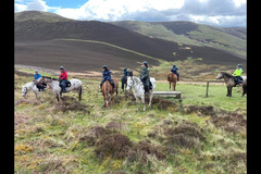 Scottish Equestrian Hotel - 6