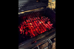 Terra House Market London