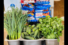 Terra House Market London - 9