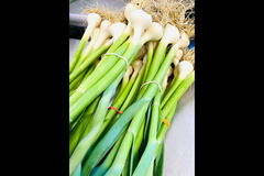 Terra House Market London - 27