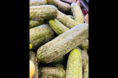 Terra House Market London - 28