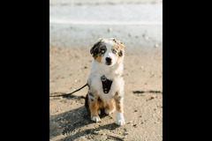 Hannah K. Photography