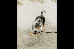 Hannah K. Photography - 8