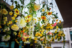 Ivy and Gold Studio Dartford - 10