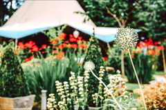 Elite Tents Aldridge - 16