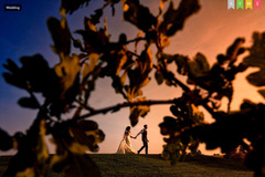 Rich Howman Photography