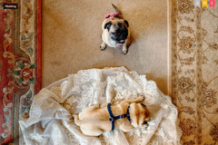 Rich Howman Photography - 8