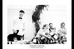 Dominic Lemoine Photography - 1