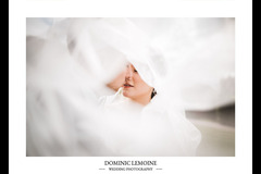 Dominic Lemoine Photography - 2