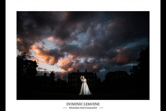 Dominic Lemoine Photography - 3