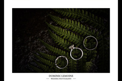 Dominic Lemoine Photography - 6