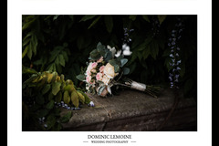 Dominic Lemoine Photography - 10