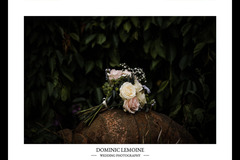 Dominic Lemoine Photography - 20