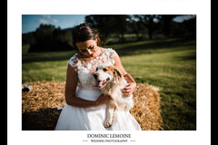 Dominic Lemoine Photography - 21