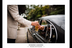 Dominic Lemoine Photography - 28