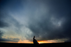 Migle Markuza Photography