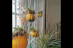 Willow and Blossom Floral Design - 12