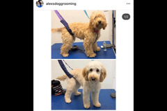 La Pooch Parlour Coventry - 13