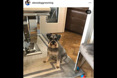 La Pooch Parlour Coventry - 14