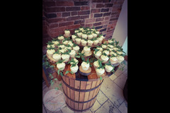 Lou's Cakes and Sweet Treats Tamworth