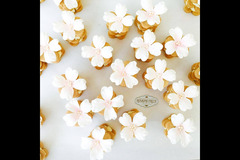 Rosalind Miller Cakes London - 14