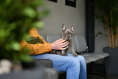 Godiva Veterinary Clinic Coventry