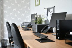 Godiva Veterinary Clinic Coventry - 10