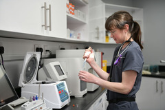 Godiva Veterinary Clinic Coventry - 23