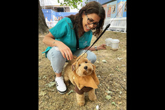 London Vet Clinic