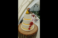 The Elegant Rose Cake Studio - 13